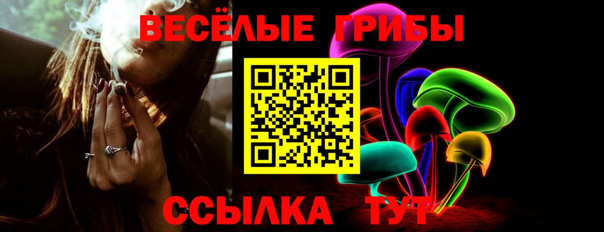 Псилоцибиновые грибы GOLDEN TEACHER Анапа